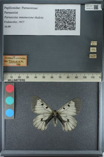 Media type: image;   Entomology 180118